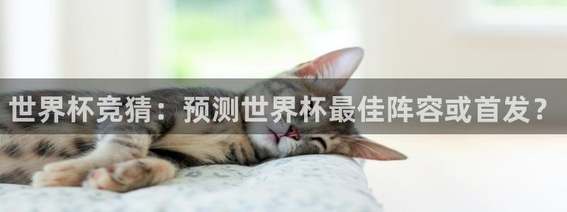 2006年世界杯冠军:世界杯竞猜:预测世界杯最佳阵容或首发?