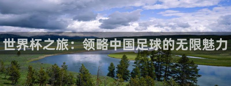 世界杯2026赛制:世界杯之旅:领略中国足球的无限魅力