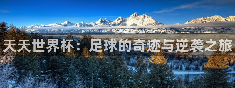 世界杯视频:天天世界杯:足球的奇迹与逆袭之旅