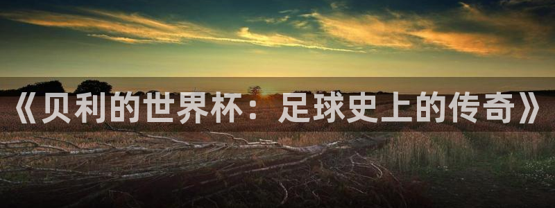 世界杯亚洲预选赛18强赛程:《贝利的世界杯:足球史上的传奇》