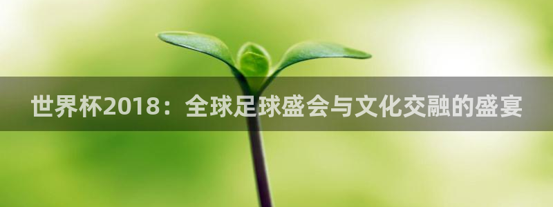 亚洲区世界杯预选赛:世界杯2018:全球足球盛会与文化交融的盛宴